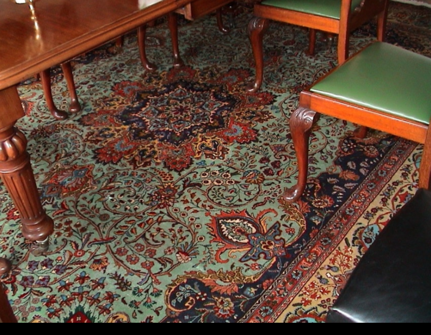 Persian rug in living room